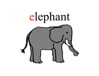 elephant