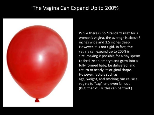 Facts about the vagina weird Vagina Facts