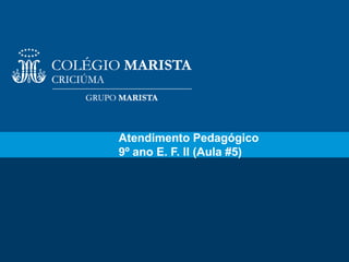 1
Atendimento Pedagógico
9º ano E. F. II (Aula #5)
 