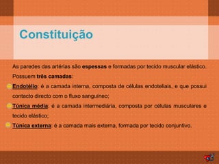 Constituição

As paredes das artérias são espessas e formadas por tecido muscular elástico.
Possuem três camadas:
Endotélio: é a camada interna, composta de células endoteliais, e que possui
contacto directo com o fluxo sanguíneo;
Túnica média: é a camada intermediária, composta por células musculares e
tecido elástico;
Túnica externa: é a camada mais externa, formada por tecido conjuntivo.
 