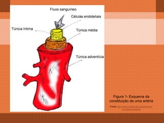 Figura 1- Esquema da
constituição de uma artéria
Fonte: http://www.infoescola.com/sistema-
             circulatorio/arteria/
 