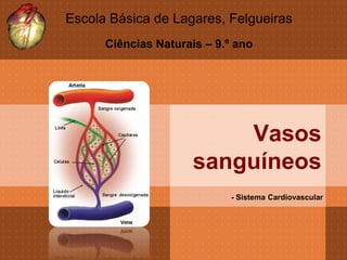 Escola Básica de Lagares, Felgueiras
      Ciências Naturais – 9.º ano




                          Vasos
                      sanguíneos
                             - Sistema Cardiovascular
 