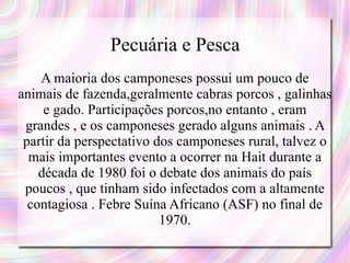 Pecuária e Pesca A maioria dos camponeses possui um pouco de animais de fazenda,geralmente cabras porcos , galinhas e gado. Participações porcos,no entanto , eram grandes , e os camponeses gerado alguns animais . A partir da perspectativo dos camponeses rural, talvez o mais importantes evento a ocorrer na Hait durante a década de 1980 foi o debate dos animais do país poucos , que tinham sido infectados com a altamente contagiosa . Febre Suína Africano (ASF) no final de 1970. 