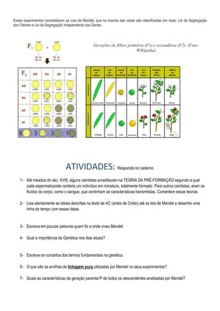 Esses experimentos consolidaram as Leis de Mendel, que na maioria das vezes são classificadas em duas: Lei da Segregação
dos Fatores e Lei da Segregação Independente dos Genes.
Gerações de filhos primária (F1) e secundária (F2). (Foto:
Wikipédia)
ATIVIDADES: Responda no caderno.
1- Até meados do séc. XVIII, alguns cientistas acreditavam na TEORIA DA PRÉ-FORMAÇÃO segundo a qual
cada espermatozoide conteria um indivíduo em miniatura, totalmente formado. Para outros cientistas, eram os
fluídos do corpo, como o sangue, que continham as características transmitidas. Comentem essas teorias.
2- Leia atentamente as ideias descritas no texto de AC (antes de Cristo) até as leis de Mendel e desenhe uma
linha do tempo com essas datas.
3- Escreva em poucas palavras quem foi e onde viveu Mendel.
4- Qual a importância da Genética nos dias atuais?
5- Escreva os conceitos dos termos fundamentais na genética.
6- O que são as ervilhas de linhagem pura utilizadas por Mendel no seus experimentos?
7- Quais as características da geração parental P de todos os descendentes analisadas por Mendel?
 