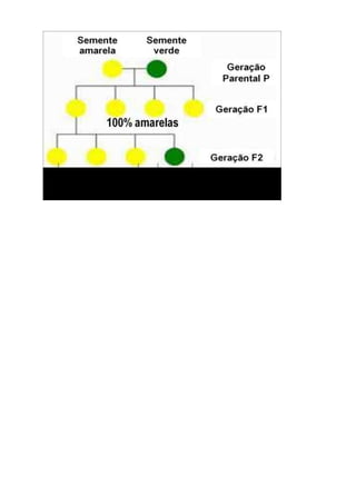 9_ano_atividade_de_ciencias_007.pdf