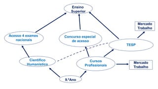 9.ºAno
Acesso 4 exames
nacionais
Científico
Humanístico
Cursos
Profissionais
Concurso especial
de acesso
TESP
Mercado
Trabalho
Mercado
Trabalho
Ensino
Superior
 