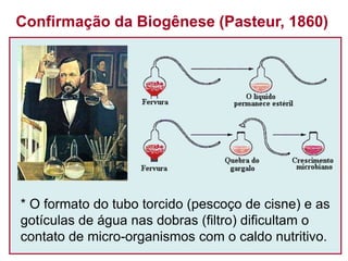 Confirmação da Biogênese (Pasteur, 1860)
* O formato do tubo torcido (pescoço de cisne) e as
gotículas de água nas dobras (filtro) dificultam o
contato de micro-organismos com o caldo nutritivo.
 