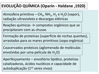 EVOLUÇÃO QUÍMICA (Oparin - Haldane ,1920)
Atmosfera primitiva – CH4, NH3, H2 e H2O (vapor),
radiação ultravioleta e descargas elétricas
Reações químicas → compostos orgânicos que se
precipitaram com as chuvas
Formação de proteínas (superfície de rochas quentes),
arrastadas para os mares primitivos (sopa orgânica)
Coacervados proteicos (aglomerado de moléculas
envolvidas por uma película de H2O)
Aperfeiçoamento – envoltório lipídico, proteínas
catalizadoras, ácidos nucléicos e capacidade de
autoduplicação (1os seres vivos)
 