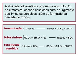 A atividade fotossintética produziu e acumulou O2
na atmosfera, criando condições para o surgimento
dos 1os seres aeróbicos, além da formação da
camada de ozônio.
Glicose álcool + 2CO2 + 2ATPfermentação
6CO2 + 6H2O + luz glicose + 6O2fotossíntese
Glicose + 6O2 6CO2 + 6H2O + 38ATP
respiração
aeróbica
 