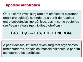 Hipótese autotrófica
Os 1os seres vivos surgiram em ambientes extremos
(mais protegidos), nutrindo-se a partir de reações
entre substâncias inorgânicas, assim como bactérias
(archaeas) atuais (quimiolitoautotróficas).
A partir desses 1os seres vivos surgiram organismos
fermentadores, depois os fotossintetizantes, e por fim
os heterótrofos aeróbicos.
FeS + H2S → FeS2 + H2 + ENERGIA
 