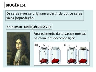 BIOGÊNESE
Os seres vivos se originam a partir de outros seres
vivos (reprodução)
Francesco Redi (século XVII)
Aparecimento da larvas de moscas
na carne em decomposição
 