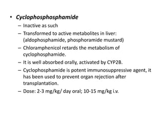 • Cyclophosphosphamide
– Inactive as such
– Transformed to active metabolites in liver:
(aldophosphamide, phosphoramide mustard)
– Chloramphenicol retards the metabolism of
cyclophosphamide.
– It is well absorbed orally, activated by CYP2B.
– Cyclophosphamide is potent immunosuppressive agent, it
has been used to prevent organ rejection after
transplantation.
– Dose: 2-3 mg/kg/ day oral; 10-15 mg/kg i.v.

 