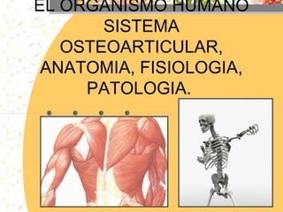 EL ORGANISMO HUMANO
SISTEMA
OSTEOARTICULAR,
ANATOMIA, FISIOLOGIA,
PATOLOGIA.
 