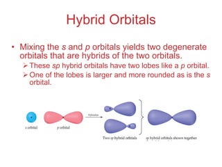 Hybrid Orbitals ,[object Object],[object Object],[object Object]