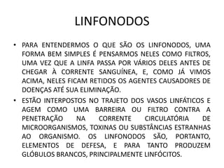 LINFONODOS
• PARA ENTENDERMOS O QUE SÃO OS LINFONODOS, UMA
FORMA BEM SIMPLES É PENSARMOS NELES COMO FILTROS,
UMA VEZ QUE A LINFA PASSA POR VÁRIOS DELES ANTES DE
CHEGAR À CORRENTE SANGUÍNEA, E, COMO JÁ VIMOS
ACIMA, NELES FICAM RETIDOS OS AGENTES CAUSADORES DE
DOENÇAS ATÉ SUA ELIMINAÇÃO.
• ESTÃO INTERPOSTOS NO TRAJETO DOS VASOS LINFÁTICOS E
AGEM COMO UMA BARREIRA OU FILTRO CONTRA A
PENETRAÇÃO NA CORRENTE CIRCULATÓRIA DE
MICROORGANISMOS, TOXINAS OU SUBSTÂNCIAS ESTRANHAS
AO ORGANISMO. OS LINFONODOS SÃO, PORTANTO,
ELEMENTOS DE DEFESA, E PARA TANTO PRODUZEM
GLÓBULOS BRANCOS, PRINCIPALMENTE LINFÓCITOS.
 