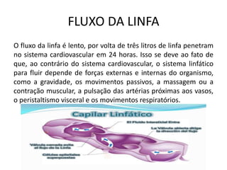 FLUXO DA LINFA
O fluxo da linfa é lento, por volta de três litros de linfa penetram
no sistema cardiovascular em 24 horas. Isso se deve ao fato de
que, ao contrário do sistema cardiovascular, o sistema linfático
para fluir depende de forças externas e internas do organismo,
como a gravidade, os movimentos passivos, a massagem ou a
contração muscular, a pulsação das artérias próximas aos vasos,
o peristaltismo visceral e os movimentos respiratórios.
 