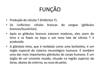 FUNÇÃO
• Produção de células T (linfócitos T).
• Os Linfócitos: células brancas do sangue (glóbulos
brancos/leucócitos).
• Após os glóbulos brancos estarem maduros, eles saem do
timo e se fixam no baço e um novo lote de células T é
produzido.
• A glândula timo, que é moldada como uma borboleta, é um
órgão especial do sistema imunológico humano. É também
uma das mais importantes glândulas do corpo humano. É um
órgão de cor cinzento rosado, situado na região superior do
tórax, abaixo do esterno, ou osso do peito.
 
