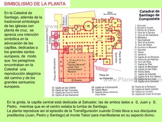SIMBOLISMO DE LA PLANTA
En la Catedral de
Santiago, además de la
tradicional simbología
de las iglesias con
planta de cruz, se
aprecia una intención
simbólica en la
advocación de las
capillas, dedicadas a
los grandes santos
europeos, de modo
que los peregrinos
encontraban en la
Catedral una
reproducción alegórica
del camino y de los
grandes santuarios
europeos.



 En la girola, la capilla central está dedicada al Salvador, las de ambos lados a S. Juan y S.
 Pedro, mientras que en el centro estaba la tumba de Santiago.
 La planta reproduce así el episodio de la Transfiguración cuando Cristo lleva a sus discípulos
 predilectos (Juan, Pedro y Santiago) al monte Tabor para manifestarse en su aspecto divino.
 