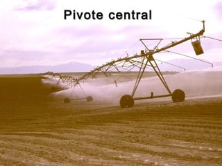 Pivote central
 