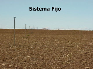 Sistema Fijo
 