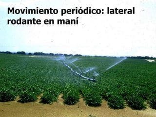 Movimiento periódico: lateral
rodante en maní
 