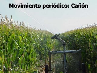 Movimiento periódico: Cañón
 