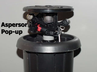 Aspersor
Pop-up
 