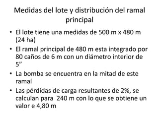 Medidas del lote y distribución del ramal
principal
• El lote tiene una medidas de 500 m x 480 m
(24 ha)
• El ramal principal de 480 m esta integrado por
80 caños de 6 m con un diámetro interior de
5”
• La bomba se encuentra en la mitad de este
ramal
• Las pérdidas de carga resultantes de 2%, se
calculan para 240 m con lo que se obtiene un
valor e 4,80 m
 
