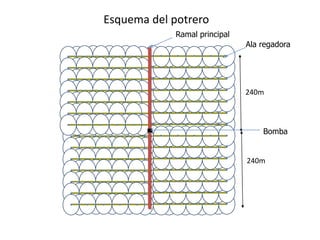 Esquema del potrero
240m
240m
Ramal principal
Ala regadora
Bomba
 