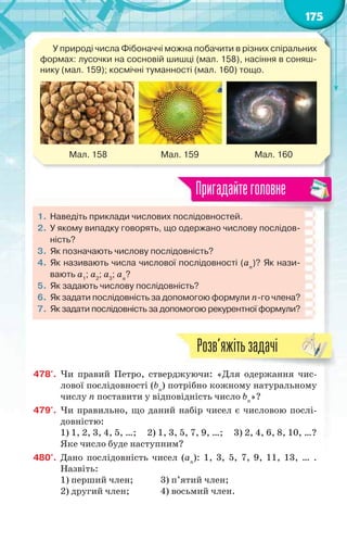 175
У природі числа Фібоначчі можна побачити в різних спіральних
формах: лусочки на сосновій шишці (мал. 158), насіння в соняш-
нику (мал. 159); космічні туманності (мал. 160) тощо.
Мал. 158 Мал. 159 Мал. 160
1. Наведіть приклади числових послідовностей.
2. У якому випадку говорять, що одержано числову послідов-
ність?
3. Як позначають числову послідовність?
4. Як називають числа числової послідовності (an
)? Як нази-
вають а1
; а2
; а3
; аn
?
5. Як задають числову послідовність?
6. Як задати послідовність за допомогою формули n-го члена?
7. Як задати послідовність за допомогою рекурентної формули?
Пригадайтеголовне
478'. Чи правий Петро, стверджуючи: «Для одержання чис-
лової послідовності (bn
) потрібно кожному натуральному
числу n поставити у відповідність число bn
»?
479'. Чи правильно, що даний набір чисел є числовою послі-
довністю:
1) 1, 2, 3, 4, 5, …; 2) 1, 3, 5, 7, 9, …; 3) 2, 4, 6, 8, 10, …?
Яке число буде наступним?
480°. Дано послідовність чисел (аn
): 1, 3, 5, 7, 9, 11, 13, … .
Назвіть:
1) перший член; 3) п’ятий член;
2) другий член; 4) восьмий член.
Розв’яжітьзадачі
 