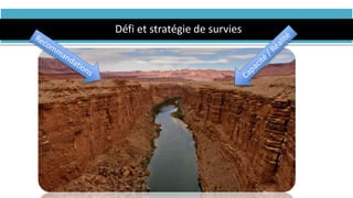 Défi et stratégie de survies
 