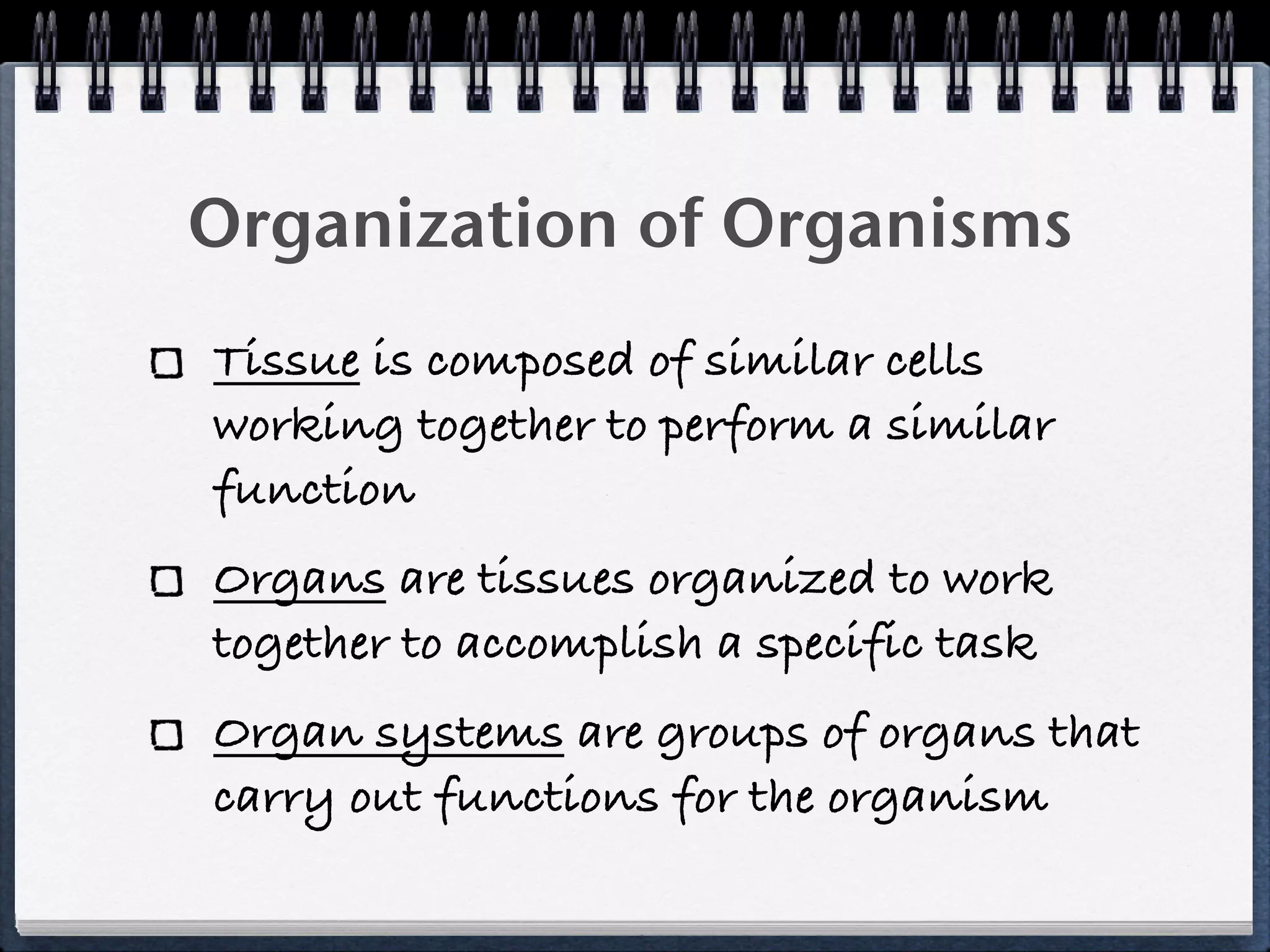 9a, tissues and homeostasis | KEY