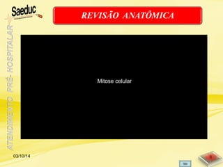 03/10/14 8
Mitose celular
 