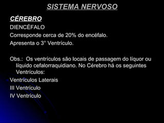 SISTEMA NERVOSOSISTEMA NERVOSO
CÉREBROCÉREBRO
DIENCÉFALODIENCÉFALO
Corresponde cerca de 20% do encéfalo.Corresponde cerca de 20% do encéfalo.
Apresenta o 3° Ventrículo.Apresenta o 3° Ventrículo.
Obs.: Os ventrículos são locais de passagem do líquor ouObs.: Os ventrículos são locais de passagem do líquor ou
líquido cefalorraquidiano. No Cérebro há os seguinteslíquido cefalorraquidiano. No Cérebro há os seguintes
Ventrículos:Ventrículos:
Ventrículos LateraisVentrículos Laterais
III VentrículoIII Ventrículo
IV VentrículoIV Ventrículo
 