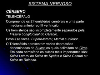 SISTEMA NERVOSOSISTEMA NERVOSO
CÉREBROCÉREBRO
TELENCÉFALOTELENCÉFALO
Compreende os 2 hemisférios cerebrais e uma parteCompreende os 2 hemisférios cerebrais e uma parte
mediana anterior ao III ventrículo.mediana anterior ao III ventrículo.
Os hemisférios são incompletamente separados pelaOs hemisférios são incompletamente separados pela
Fissura Longitudinal do Cérebro.Fissura Longitudinal do Cérebro.
Possui as facesPossui as faces: Súpero-lateral; Medial e Inferior.: Súpero-lateral; Medial e Inferior.
O Telencéfalo apresentam várias depressõesO Telencéfalo apresentam várias depressões
denominadas dedenominadas de SulcosSulcos os quais delimitam osos quais delimitam os GirosGiros..
Em cada hemisfério os sulcos mais importantes são:Em cada hemisfério os sulcos mais importantes são:
Sulco Lateral ou Sulco de Sylvius e Sulco Central ouSulco Lateral ou Sulco de Sylvius e Sulco Central ou
Sulco de Rolando.Sulco de Rolando.
 