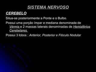 SISTEMA NERVOSOSISTEMA NERVOSO
CEREBELOCEREBELO
Situa-se posteriormente a Ponte e o Bulbo.Situa-se posteriormente a Ponte e o Bulbo.
Possui uma porção ímpar e mediana denominada dePossui uma porção ímpar e mediana denominada de
VérmisVérmis e 2 massas laterais denominadas dee 2 massas laterais denominadas de HemisfériosHemisférios
Cerebelares.Cerebelares.
Possui 3 lobos :Possui 3 lobos : Anterior, Posterior e Flóculo NodularAnterior, Posterior e Flóculo Nodular
 