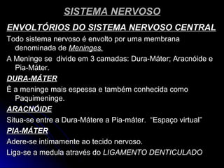 SISTEMA NERVOSOSISTEMA NERVOSO
ENVOLTÓRIOS DO SISTEMA NERVOSO CENTRALENVOLTÓRIOS DO SISTEMA NERVOSO CENTRAL
Todo sistema nervoso é envolto por uma membranaTodo sistema nervoso é envolto por uma membrana
denominada dedenominada de Meninges.Meninges.
A Meninge se divide em 3 camadas: Dura-Máter; Aracnóide eA Meninge se divide em 3 camadas: Dura-Máter; Aracnóide e
Pia-Máter.Pia-Máter.
DURA-MÁTERDURA-MÁTER
È a meninge mais espessa e também conhecida comoÈ a meninge mais espessa e também conhecida como
Paquimeninge.Paquimeninge.
ARACNÓIDEARACNÓIDE
Situa-se entre a Dura-Mátere a Pia-máter. “Espaço virtual”Situa-se entre a Dura-Mátere a Pia-máter. “Espaço virtual”
PIA-MÁTERPIA-MÁTER
Adere-se intimamente ao tecido nervoso.Adere-se intimamente ao tecido nervoso.
Liga-se a medula através doLiga-se a medula através do LIGAMENTO DENTICULADOLIGAMENTO DENTICULADO
 