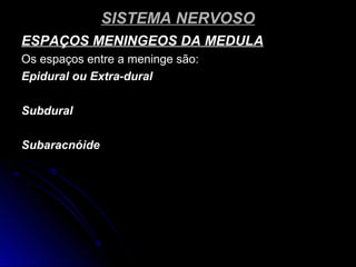 SISTEMA NERVOSOSISTEMA NERVOSO
ESPAÇOS MENINGEOS DA MEDULAESPAÇOS MENINGEOS DA MEDULA
Os espaços entre a meninge são:Os espaços entre a meninge são:
Epidural ou Extra-duralEpidural ou Extra-dural
SubduralSubdural
SubaracnóideSubaracnóide
 