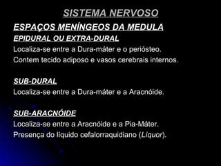 SISTEMA NERVOSOSISTEMA NERVOSO
ESPAÇOS MENÍNGEOS DA MEDULAESPAÇOS MENÍNGEOS DA MEDULA
EPIDURAL OU EXTRA-DURALEPIDURAL OU EXTRA-DURAL
Localiza-se entre a Dura-máter e o periósteo.Localiza-se entre a Dura-máter e o periósteo.
Contem tecido adiposo e vasos cerebrais internos.Contem tecido adiposo e vasos cerebrais internos.
SUB-DURALSUB-DURAL
Localiza-se entre a Dura-máter e a Aracnóide.Localiza-se entre a Dura-máter e a Aracnóide.
SUB-ARACNÓIDESUB-ARACNÓIDE
Localiza-se entre a Aracnóide e a Pia-Máter.Localiza-se entre a Aracnóide e a Pia-Máter.
Presença do líquido cefalorraquidiano (Presença do líquido cefalorraquidiano (LíquorLíquor).).
 