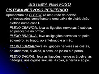 SISTEMA NERVOSOSISTEMA NERVOSO
SISTEMA NERVOSO PERIFÉRICOSISTEMA NERVOSO PERIFÉRICO
Apresentam osApresentam os PLEXOSPLEXOS (é uma rede de nervos(é uma rede de nervos
entrecruzados semelhante a uma caixa de distribuiçãoentrecruzados semelhante a uma caixa de distribuição
elétrica numa casaelétrica numa casa).).
PLEXO CERVICALPLEXO CERVICAL leva as ligações nervosas à cabeça,leva as ligações nervosas à cabeça,
ao pescoço e ao ombro.ao pescoço e ao ombro.
PLEXO BRAQUIALPLEXO BRAQUIAL leva as ligações nervosas ao peito,leva as ligações nervosas ao peito,
ao ombro, ao braço, ao antebraço e à mão.ao ombro, ao braço, ao antebraço e à mão.
PLEXO LOMBARPLEXO LOMBAR leva as ligações nervosas às costas,leva as ligações nervosas às costas,
ao abdômen, à virilha, à coxa, ao joelho e à perna.ao abdômen, à virilha, à coxa, ao joelho e à perna.
PLEXO SACRALPLEXO SACRAL leva as ligações nervosas à pelve, àsleva as ligações nervosas à pelve, às
nádegas, aos órgãos sexuais, à coxa, à perna e ao pé.nádegas, aos órgãos sexuais, à coxa, à perna e ao pé.
 