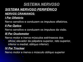 SISTEMA NERVOSOSISTEMA NERVOSO
SISTEMA NERVOSO PERIFÉRICOSISTEMA NERVOSO PERIFÉRICO
NERVOS CRANIANOS:NERVOS CRANIANOS:
I Par OlfatórioI Par Olfatório
Nervo sensitivo e conduzem os impulsos olfatórios.Nervo sensitivo e conduzem os impulsos olfatórios.
II Par ÓpticoII Par Óptico
Nervo sensitivo e conduzem os impulsos da visão.Nervo sensitivo e conduzem os impulsos da visão.
III Par OculomotorIII Par Oculomotor
Nervo motor e inerva músculos extrínsecos dosNervo motor e inerva músculos extrínsecos dos
olhos( elevador da pálpebra superior, reto superior,olhos( elevador da pálpebra superior, reto superior,
inferior e medial; oblíquo inferior)inferior e medial; oblíquo inferior)
IV Par TroclearIV Par Troclear
Nervo motor e inerva o músculo oblíquo superiorNervo motor e inerva o músculo oblíquo superior
 