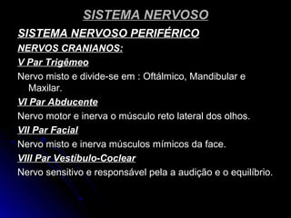SISTEMA NERVOSOSISTEMA NERVOSO
SISTEMA NERVOSO PERIFÉRICOSISTEMA NERVOSO PERIFÉRICO
NERVOS CRANIANOS:NERVOS CRANIANOS:
V Par TrigêmeoV Par Trigêmeo
Nervo misto e divide-se em : Oftálmico, Mandibular eNervo misto e divide-se em : Oftálmico, Mandibular e
Maxilar.Maxilar.
VI Par AbducenteVI Par Abducente
Nervo motor e inerva o músculo reto lateral dos olhos.Nervo motor e inerva o músculo reto lateral dos olhos.
VII Par FacialVII Par Facial
Nervo misto e inerva músculos mímicos da face.Nervo misto e inerva músculos mímicos da face.
VIII Par Vestíbulo-CoclearVIII Par Vestíbulo-Coclear
Nervo sensitivo e responsável pela a audição e o equilíbrio.Nervo sensitivo e responsável pela a audição e o equilíbrio.
 