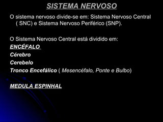 SISTEMA NERVOSOSISTEMA NERVOSO
O sistema nervoso divide-se em: Sistema Nervoso CentralO sistema nervoso divide-se em: Sistema Nervoso Central
( SNC) e Sistema Nervoso Periférico (SNP).( SNC) e Sistema Nervoso Periférico (SNP).
O Sistema Nervoso Central está dividido em:O Sistema Nervoso Central está dividido em:
ENCÉFALOENCÉFALO
CérebroCérebro
CerebeloCerebelo
Tronco EncefálicoTronco Encefálico (( Mesencéfalo, Ponte e BulboMesencéfalo, Ponte e Bulbo))
MEDULA ESPINHALMEDULA ESPINHAL
 