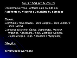SISTEMA NERVOSOSISTEMA NERVOSO
O Sistema Nervoso Periférico está dividido em:O Sistema Nervoso Periférico está dividido em:
Autônomo ou Visceral e Voluntário ou SomáticoAutônomo ou Visceral e Voluntário ou Somático
NervosNervos
EspinhaisEspinhais ((Plexo cervical, Plexo Braquial, Plexo Lombar ePlexo cervical, Plexo Braquial, Plexo Lombar e
Plexo SacralPlexo Sacral))
Cranianos (Olfatório, Óptico, Oculomotor, Troclear,Cranianos (Olfatório, Óptico, Oculomotor, Troclear,
Trigêmeo, Abducente, Facial, Vestíbulo-Coclear,Trigêmeo, Abducente, Facial, Vestíbulo-Coclear,
Glossofaríngeo, Vago, Acessório e Hipoglosso)Glossofaríngeo, Vago, Acessório e Hipoglosso)
GângliosGânglios
Terminações NervosasTerminações Nervosas
 