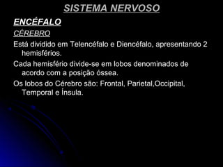 SISTEMA NERVOSOSISTEMA NERVOSO
ENCÉFALOENCÉFALO
CÉREBROCÉREBRO
Está dividido em Telencéfalo e Diencéfalo, apresentando 2Está dividido em Telencéfalo e Diencéfalo, apresentando 2
hemisférios.hemisférios.
Cada hemisfério divide-se em lobos denominados deCada hemisfério divide-se em lobos denominados de
acordo com a posição óssea.acordo com a posição óssea.
Os lobos do Cérebro são: Frontal, Parietal,Occipital,Os lobos do Cérebro são: Frontal, Parietal,Occipital,
Temporal e Ínsula.Temporal e Ínsula.
 
