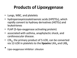 Products of Lipoxygenase
• Lungs, WBC, and platelets
• hydroperoxyeicosatetraenoic acids (HPETEs), which
rapidly convert to hydroxy derivatives (HETEs) and
leukotrienes
• FLAP (5-lipo-oxygenase activating protein)
• associated with asthma, anaphylactic shock, and
cardiovascular disease.
• LTA4, the primary product of 5-LOX, can be converted
via 12-LOX in platelets to the lipoxins LXA4 and LXB4

•

Lipo-oxygenase inhibitor: zileuton

 