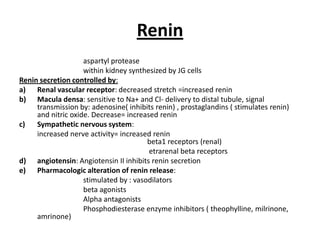 Renin
aspartyl protease
within kidney synthesized by JG cells
Renin secretion controlled by:
a) Renal vascular receptor: decreased stretch =increased renin
b) Macula densa: sensitive to Na+ and Cl- delivery to distal tubule, signal
transmission by: adenosine( inhibits renin) , prostaglandins ( stimulates renin)
and nitric oxide. Decrease= increased renin
c)
Sympathetic nervous system:
increased nerve activity= increased renin
beta1 receptors (renal)
etrarenal beta receptors
d) angiotensin: Angiotensin II inhibits renin secretion
e) Pharmacologic alteration of renin release:
stimulated by : vasodilators
beta agonists
Alpha antagonists
Phosphodiesterase enzyme inhibitors ( theophylline, milrinone,
amrinone)

 