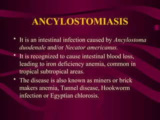 ANCYLOSTOMIASIS
• It is an intestinal infection caused by Ancylostoma
duodenale and/or Necator americanus.
• It is recognized to cause intestinal blood loss,
leading to iron deficiency anemia, common in
tropical subtropical areas.
• The disease is also known as miners or brick
makers anemia, Tunnel disease, Hookworm
infection or Egyptian chlorosis.
 