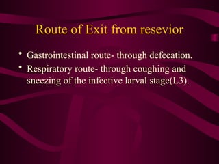 Route of Exit from resevior
• Gastrointestinal route- through defecation.
• Respiratory route- through coughing and
sneezing of the infective larval stage(L3).
 