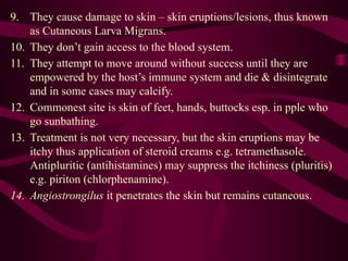 9. They cause damage to skin – skin eruptions/lesions, thus known
as Cutaneous Larva Migrans.
10. They don’t gain access to the blood system.
11. They attempt to move around without success until they are
empowered by the host’s immune system and die & disintegrate
and in some cases may calcify.
12. Commonest site is skin of feet, hands, buttocks esp. in pple who
go sunbathing.
13. Treatment is not very necessary, but the skin eruptions may be
itchy thus application of steroid creams e.g. tetramethasole.
Antipluritic (antihistamines) may suppress the itchiness (pluritis)
e.g. piriton (chlorphenamine).
14. Angiostrongilus it penetrates the skin but remains cutaneous.
 